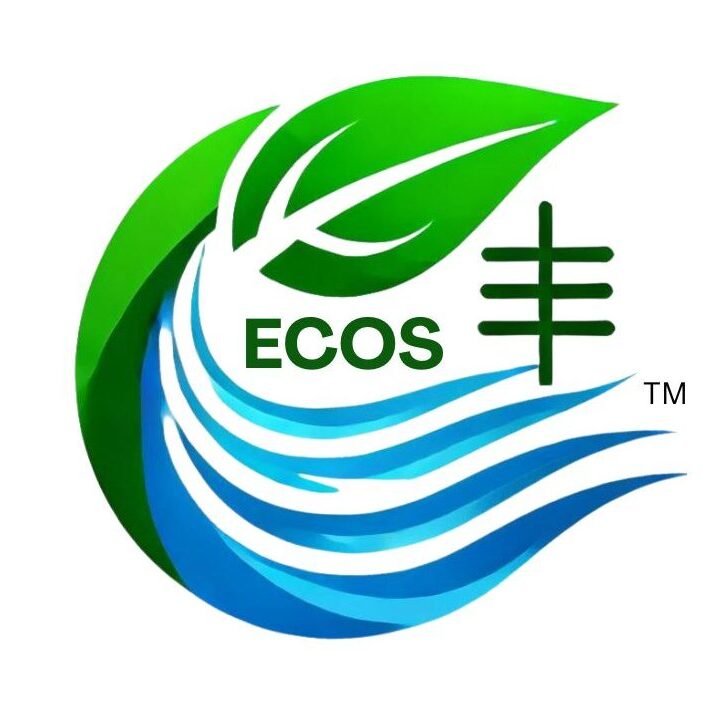 EcoStream Africa